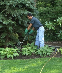 Person working with soil in a planting bed - Fertilization & Soil Management - Stein Tree Service