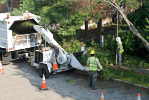 Crew performing Tree Removal in Greenville Delaware - Stein Tree Service
